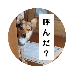Kana_20230810100918