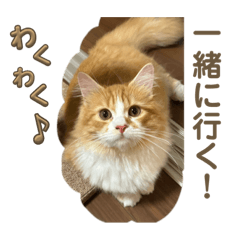 arisa_20230809200900