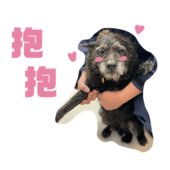 警犬QQ