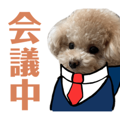 yuka_20230809193400