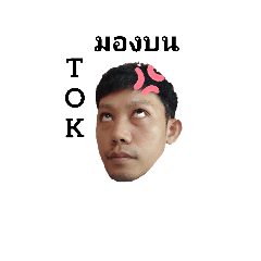 TOK KOK TOK