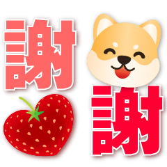 Cute Shiba Inu-Practical big font*.*