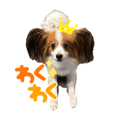 fu-ta_20230810113553 – LINE stickers | LINE STORE