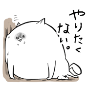 The cat Booyan 7.