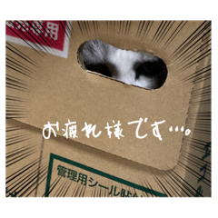Nao_20230809230238