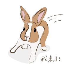 R Dou & Kaka 兩兔日常