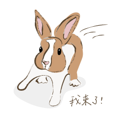 R Dou & Kaka two rabbit daily life