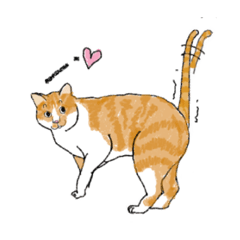 Towtue Cat (Revised Version)