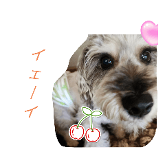 omochi_20230810150803