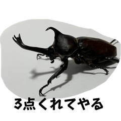 昆虫と奇虫の日常V2