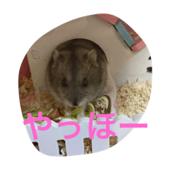 Nao_20230811070431