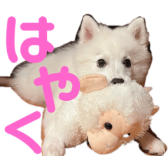 NORILUCK_20230811085608