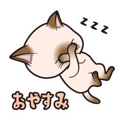 nyanchokorin(Siamese cat)