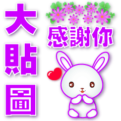 Useful Phrase Sticker-Cute White Rabbit