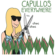 Moderna de pueblo: Capullos Everywhere!