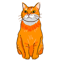 The orange cat is not fat