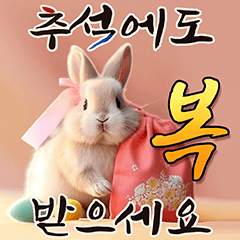 Rabbit's Chuseok greeting.