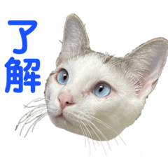 aoi_20230810212316