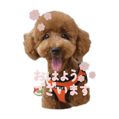 riri_20230810213336
