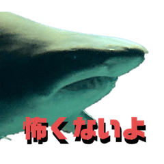 サメ(その他)スタンプ