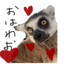 natsumi_20230811113156