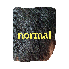 kami_20230810015350 โ LINE stickers | LINE STORE