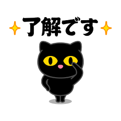 Dodeca! My Black Cat @ Super Useful