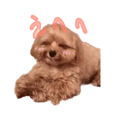 HIYORI_20230811164738