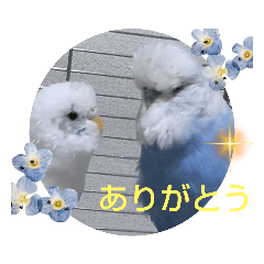 monaka_20230811171741