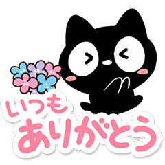 Very cute black cat107