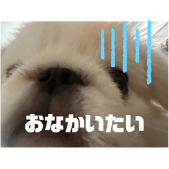 omochi_20230811173727