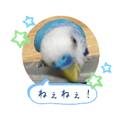 aono_20230811181910