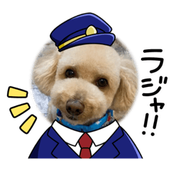 puku_20230806085918