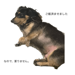 okapi_20230811184733