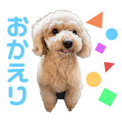 hana_20230811170137