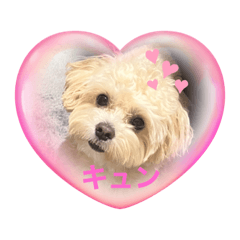 yuka_20230812002950