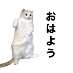 PONNOSUKECHAN2