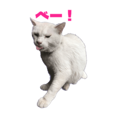 Natsumi_20230812011326