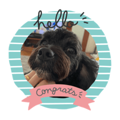 Dog stamps kuro