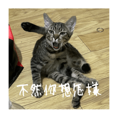 短短～日記