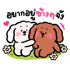 Fumi Dog : Words with 'JUNG'
