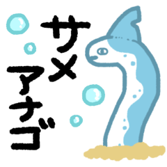 Shark conger eel