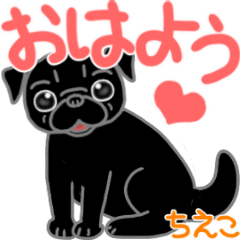 yadorihoya_Chieko's Pug moving Sticker 2