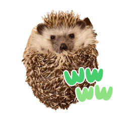 natsumi_20230812190631