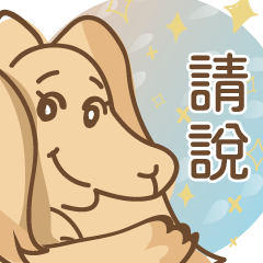 阿汗初登場！