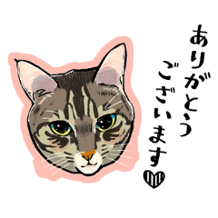Brown cat cute sticker