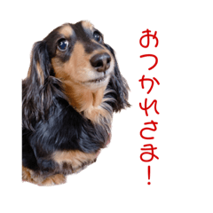 ここあの日常的に使えるスタンプ第1弾