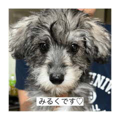 aoi_20230812234005