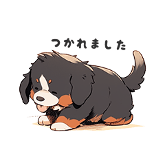 kawaii bernese mountain dog 2