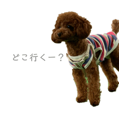 suzu_20230812222811